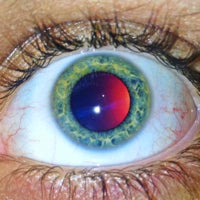 LD NERO / ME BEING WHO I AM & THINGS BEING AS THEY ARE