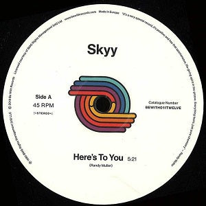 SKYY / HERE'S TO YOU / YOU GOT ME UP