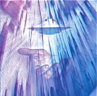 SEAHAWKS & EDDIE C / SKY PARTY