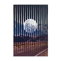 T & P / SHOOT THE FREAK