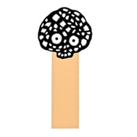 LAUER / HANDS & FEET / STIGMA