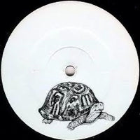 ALEKSANDIR / THE TURTLE NIPPER