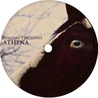 OLVERWHO FACTORY / NICK SIMONCINO / NICHOLAS / E.COLACI / BOSCONI STALLIONS ATHENA