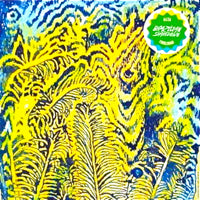 VA / BRAZILIAN SHAKEDOWN