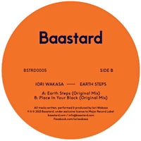 IORI WAKASA / EARTH STEPS
