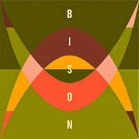 BISON / TRAVELLERS (2LP)