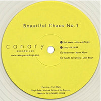 VA / BEAUTIFUL CHAOS NO.1