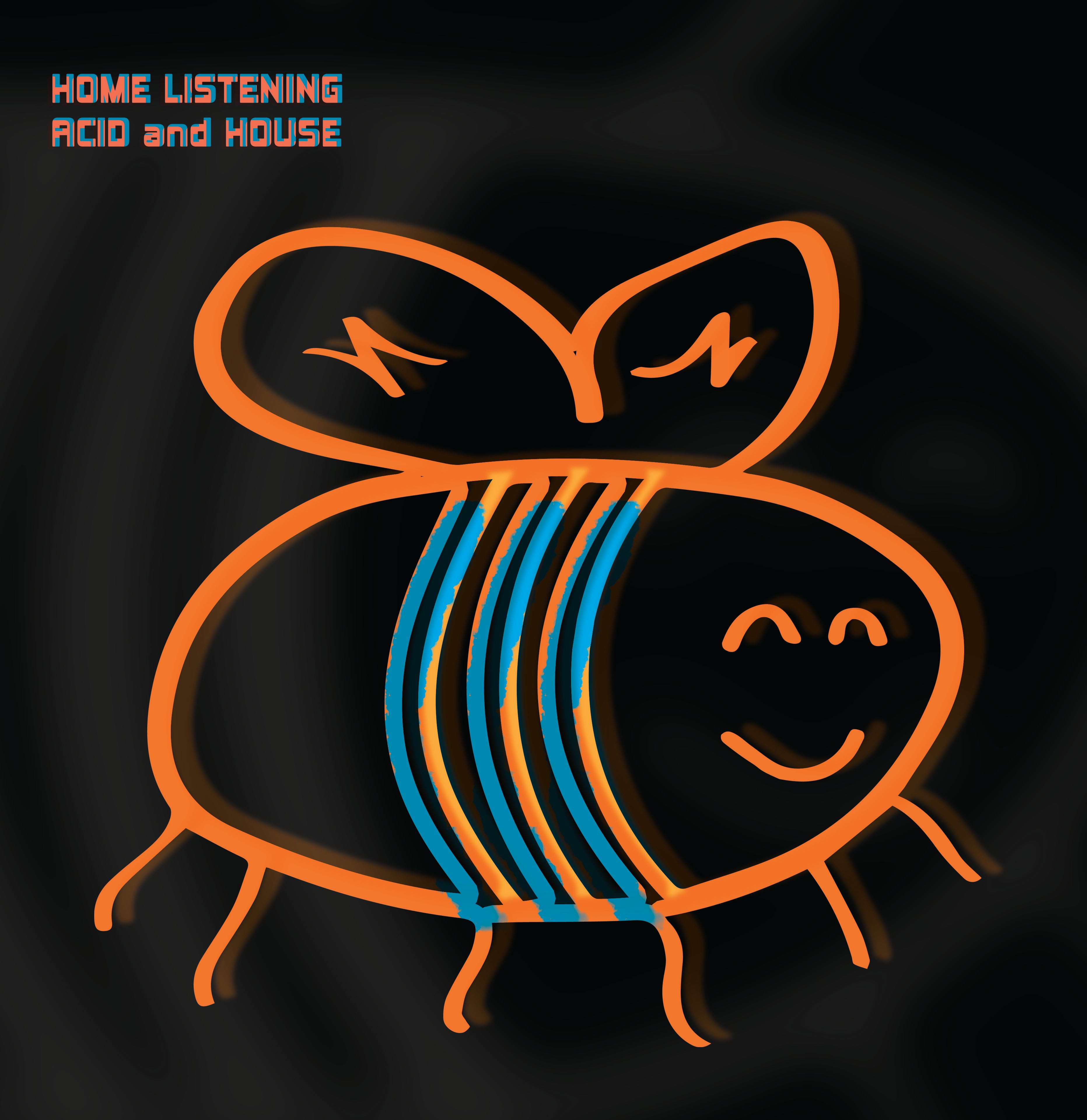 VA / HOME LISTENING ACID AND HOUSE (2x12inch)