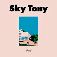 SKY TONY / BERRI EP
