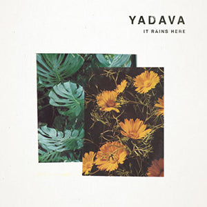 YADAVA / IT RAINS HERE (2LP)