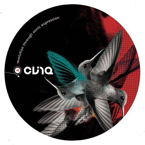 BIZ (BIZ E) / SLEEPWALKING EP