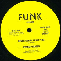 EVANS PYRAMID / NEVER GONNA LEAVE YOU