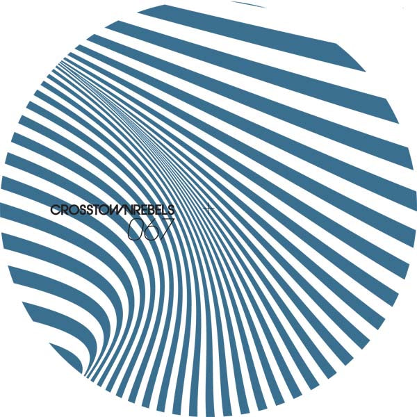 GUTI & DUBSHAPE / EVERY COW HAS A BIRD