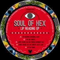 SOUL OF HEX / LIP READING EP (INC.VIN SOL, LARRY HEARD & NY*AK REMIX)