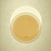 FERNANDO / STEREO DIVE