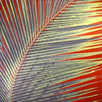 POOLSIDE / CONTACT HIGH