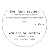 JUAN MACLEAN / YOU ARE MY DESTINY
