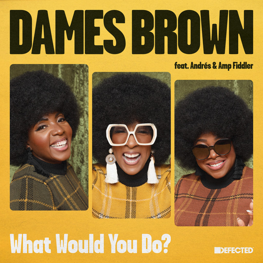 DAMES BROWN FEATURING ANDRÉS & AMP FIDDLER / WHAT WOULD YOU DO?