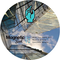 MAGNETIC SOUL / WHAT YOU GONNA DO