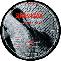 SINAN KAYA / WHAT I WANT EP