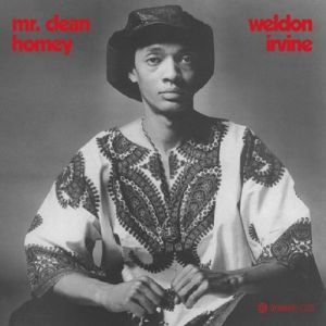 WELDON IRVINE / MR CLEAN / HOMEY (7 inch)