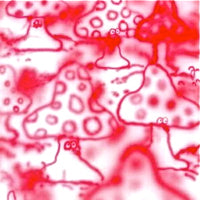 GONNO / REMEMBER THE LIFE IS BEAUTIFUL (LP)