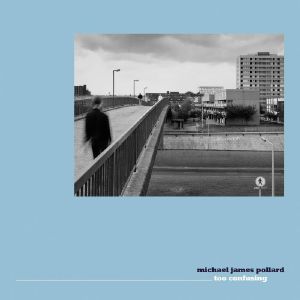 MICHAEL JAMES POLLARD / TOO CONFUSING (7 inch)