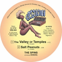 THE SPINS / THE VALLEY OF TEMPLES