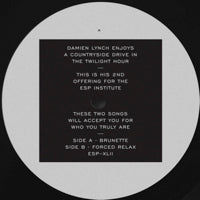 DAMIEN LYNCH / BRUNETTE B / W FORCED RELAX