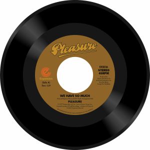 PLEASURE / WE HAVE SO MUCH (7 inch)