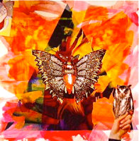 MACIEK SIENKIEWICZ / THAT FEEL