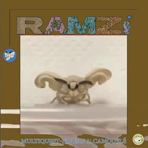 RAMZI / MULTIQUEST NIVEAU 1: CAMOUFLE (LP)