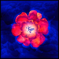 FLIGHT FACILITIES / I DIDN'T BELEIEVE (Incl. TIGER & WOODS REMIX)