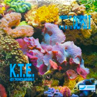 KEY TRONIC ENSEMBLE / HOUSE OF CALYPSO