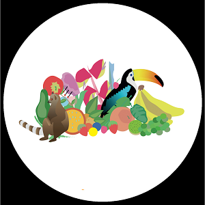 HIDDEN SPHERES / WONDERS OF THE RAINFOREST