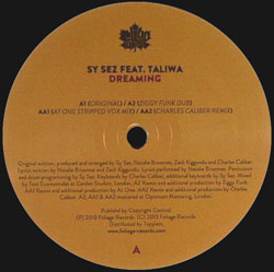 SY SEZ / DREAMING (feat. TALIWA)