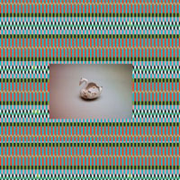 MANUEL TUR / SWANS REFLECTING ELEPHANTS REMIXES