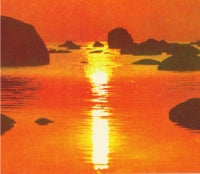 HEIDY TAMME / TIIT PAULUS / SUVI (7 inch)