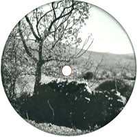 DICES PRESENTS UNTITLED GEAR / FIELDS & FORESTS 1