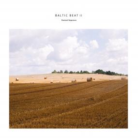 BARTOSZ KRUCZYNSKI / BALTIC BEAT II (LP)