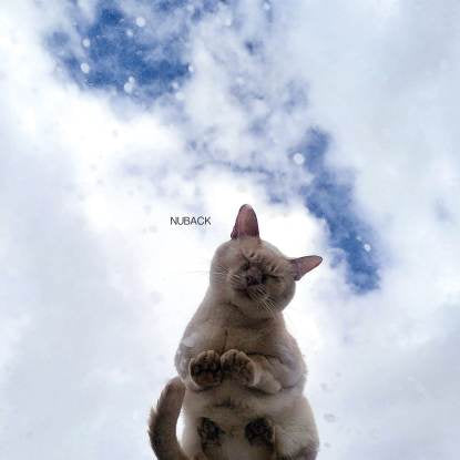 NUBACK / WHEN THE PARTY IS OVER / HEARTBEAT SUMME (7 inch)