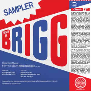 BRIAN BRIGGS / SPECIAL SAMPLER (SELECTED MUSIC FROM THE ALBUM BRIAN DAMAGE)