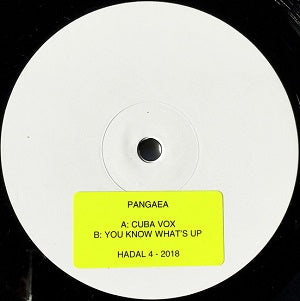 PANGAEA / CUBA VOX