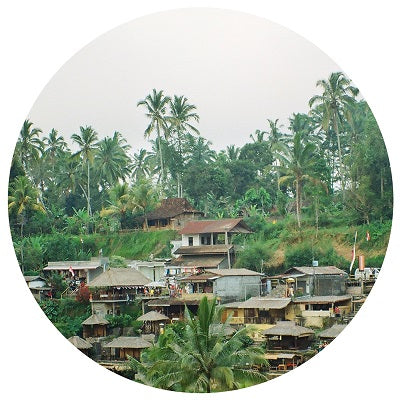 RAW MT / TRIP TO THE FAR EAST