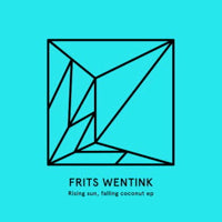 FRITS WENTINK / RISING SUN, FALLING COCONUT EP