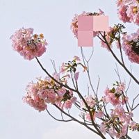 FOUK / WITH LASER EP