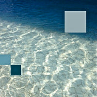 DAM SWINDLE (DETROIT SWINDLE) / CAN'T HOLD IT EP