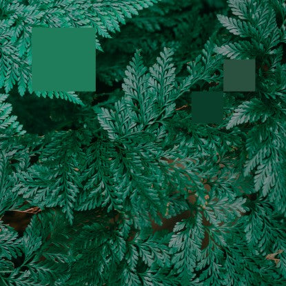 NEBRASKA / METAPHOR TO THE FLOOR EP (LAURENCE GUY REMIX)