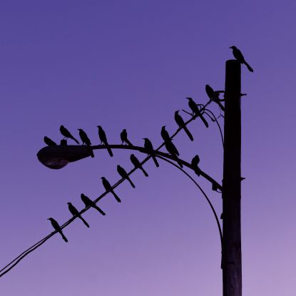 JKRIV / PETER MATSON / BIGTIME EP (AUNTIE FLO REMIX)