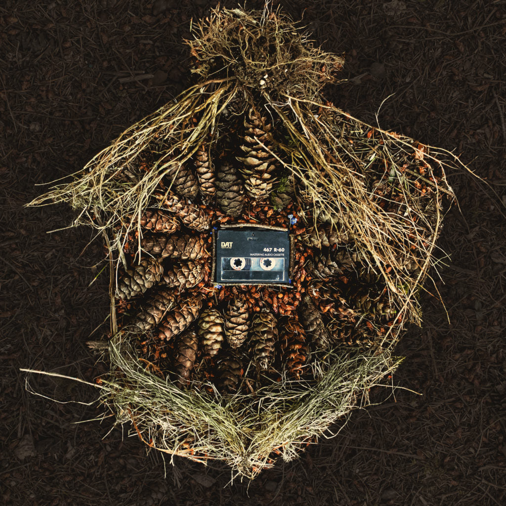 THE NATIVE LANGUAGE / ELEPHANT CHASE (inc. DOZA / MICHAEL MANAHAN REMIXES)